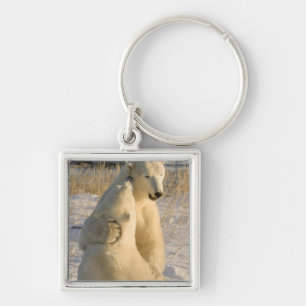 Canada, Manitoba, Hudson Bay, Churchill. Key Ring