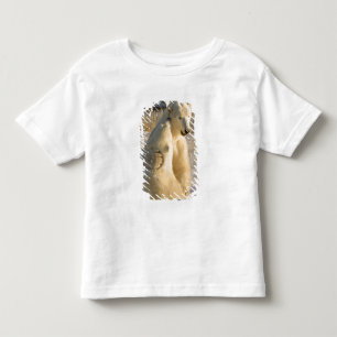 Canada, Manitoba, Hudson Bay, Churchill. Toddler T-Shirt