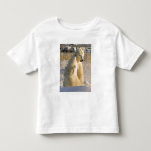 Canada, Manitoba, Hudson Bay, Churchill. Toddler T-Shirt