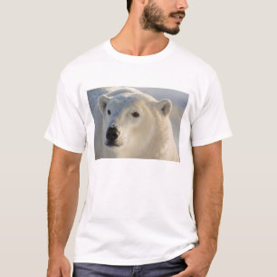 Canada, Manitoba, Hudson Bay Polar Bear T-Shirt
