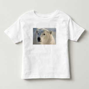 Canada, Manitoba, Hudson Bay   Polar Bear Toddler T-Shirt