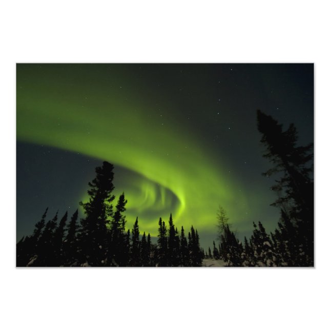Canada, Manitoba. View of aurora borealis and Photo Print (Front)