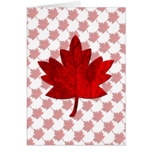 Canada-Maple Leaf by Shirley Taylor