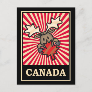 Canada Moose Postcard
