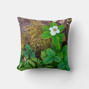Canada, New Brunswick, ,  2 Cushion