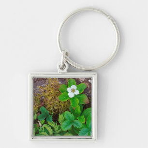 Canada, New Brunswick, ,  2 Key Ring
