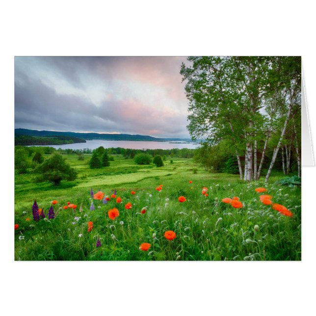 Canada, New Brunswick, ,  3 (Front Horizontal)