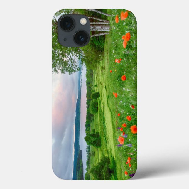 Canada, New Brunswick, ,  3 Case-Mate iPhone Case (Back)
