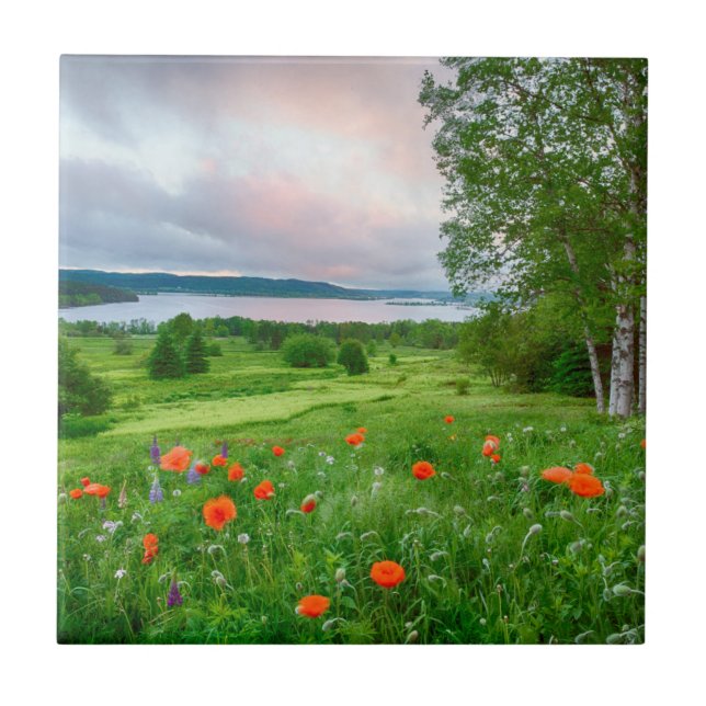 Canada, New Brunswick, ,  3 Ceramic Tile (Front)
