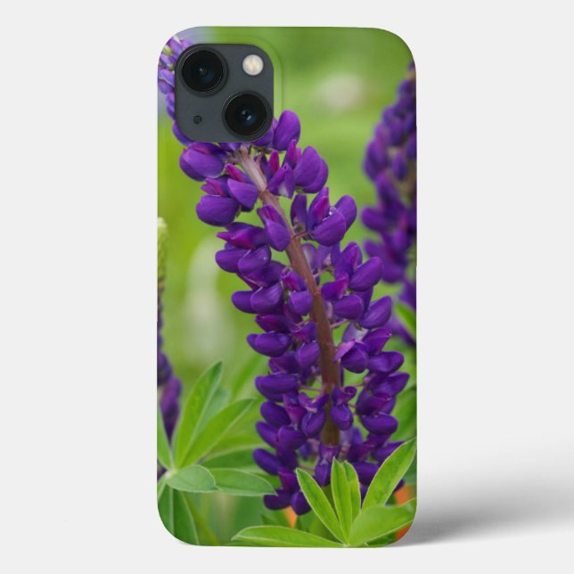 Canada, New Brunswick, . Case-Mate iPhone Case (Back)