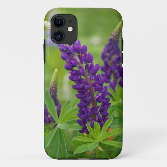 Canada, New Brunswick, . Case-Mate iPhone Case (Back)