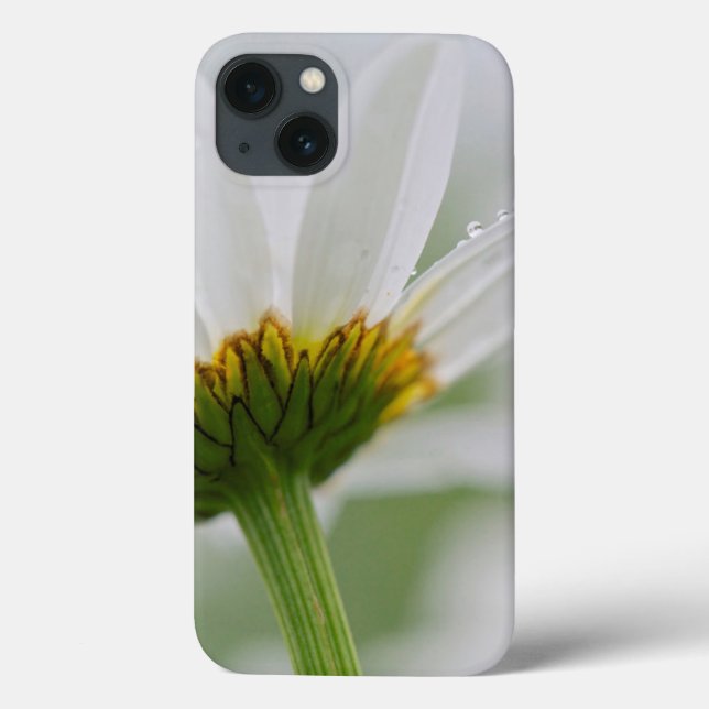 Canada, New Brunswick, Case-Mate iPhone Case (Back)