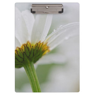 Canada, New Brunswick, Clipboard