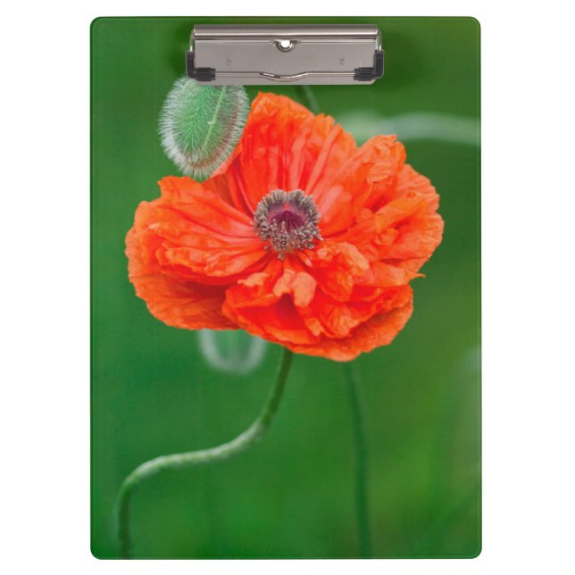 Canada, New Brunswick, , Clipboard (Front)