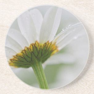 Canada, New Brunswick, Coaster