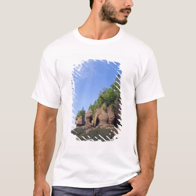 Canada, New Brunswick, Hopewell Cape, Bay of T-Shirt (Front)