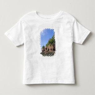Canada, New Brunswick, Hopewell Cape, Bay of Toddler T-Shirt