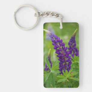 Canada, New Brunswick, . Key Ring