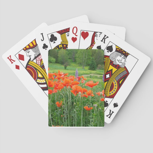 Canada, New Brunswick, . Landscape Playing Cards (Back)