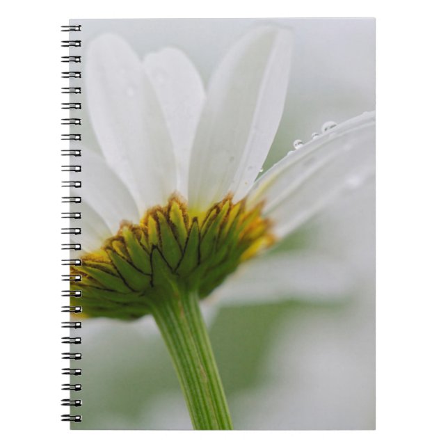 Canada, New Brunswick, Notebook (Front)