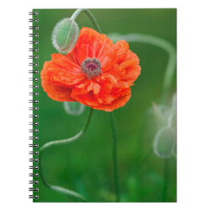 Canada, New Brunswick, , Notebook