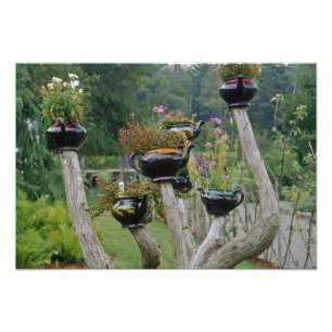 Canada, New Brunswick, St Andrews. Teapots Photo Print