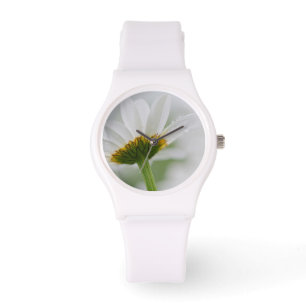 Canada, New Brunswick, Watch