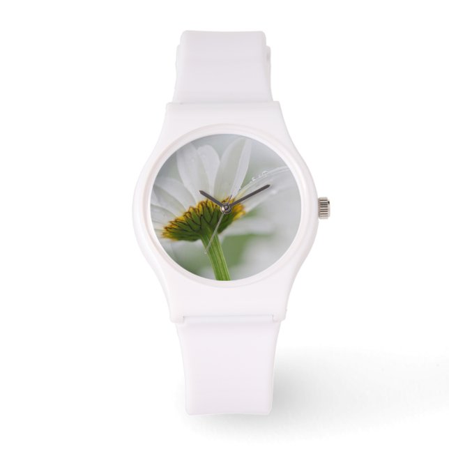 Canada, New Brunswick, Watch (Front)