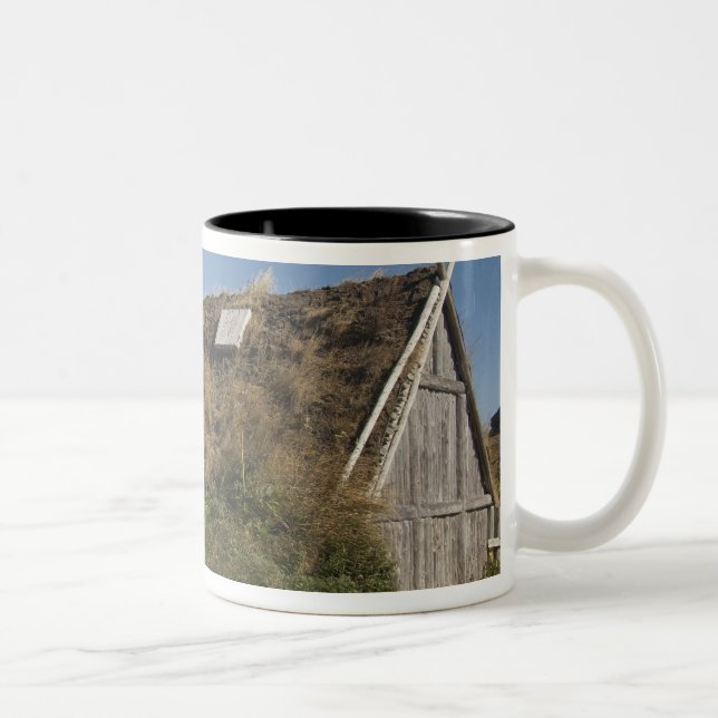 Canada, Newfoundland and Labrador, L'Anse Aux Two-Tone Coffee Mug (Right)
