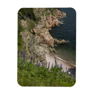 Canada, Nova Scotia, Cape Breton Island, Cabot 3 Magnet