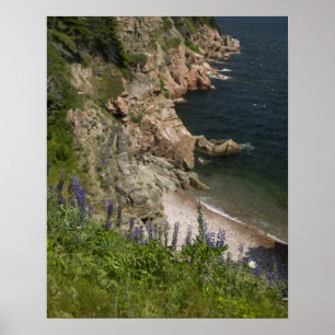 Canada, Nova Scotia, Cape Breton Island, Cabot 3 Poster