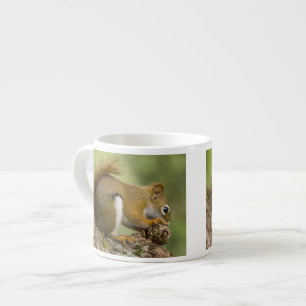 Canada, Nova Scotia, Halifax. Public Gardens, Espresso Cup