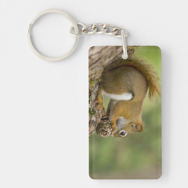 Canada, Nova Scotia, Halifax. Public Gardens, Key Ring (Front)