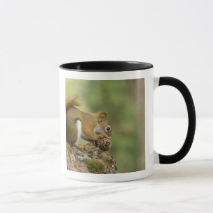 Canada, Nova Scotia, Halifax. Public Gardens, Mug