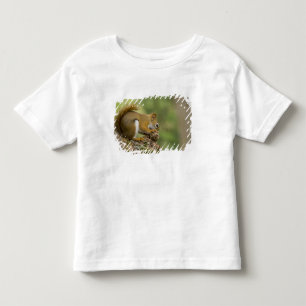 Canada, Nova Scotia, Halifax. Public Gardens, Toddler T-Shirt