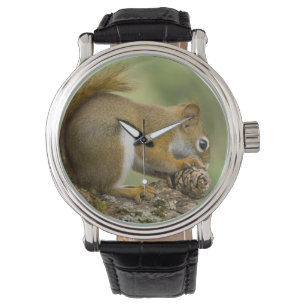 Canada, Nova Scotia, Halifax. Public Gardens, Watch