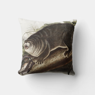 Canada Otter (Lutra Canadensis) Illustration Cushion