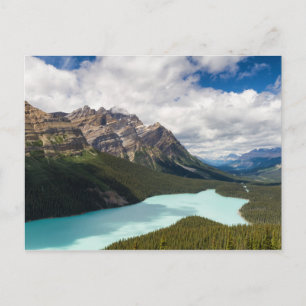 Canada - Peyto Lake postcard