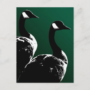 Canada Postcards Custom Canada Goose Postcards