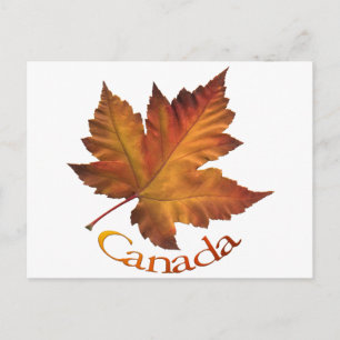Canada Postcards Custom Canada Souvenir Postcards