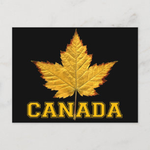 Canada Postcards Varsity Canada Souvenir Postcards