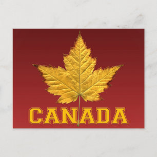 Canada Postcards Varsity Canada Souvenir Postcards