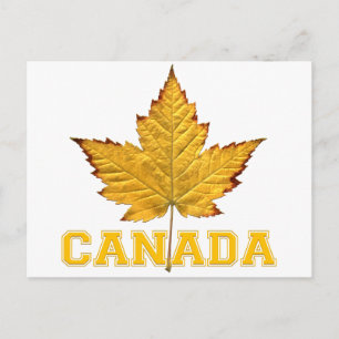 Canada Postcards Varsity Canada Souvenir Postcards