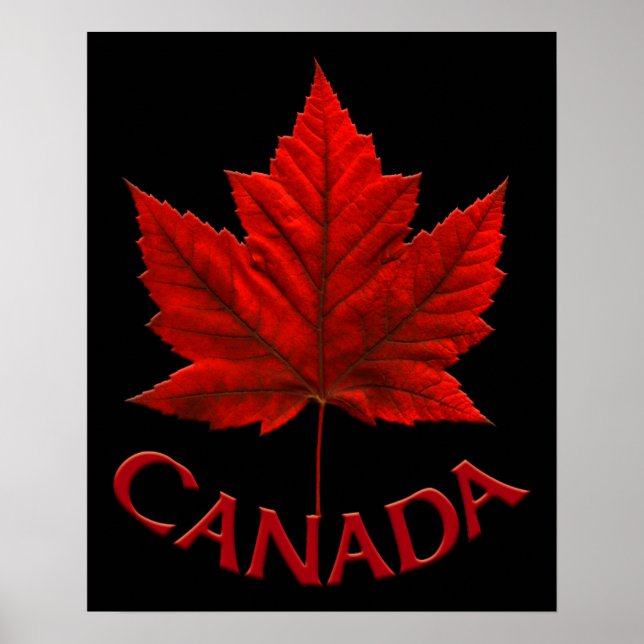 Canada Poster Canada Maple Leaf Souvenir Print (Front)