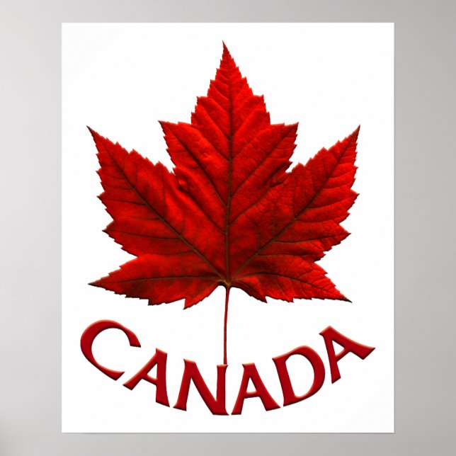 Canada Poster Canada Maple Leaf Souvenir Print (Front)