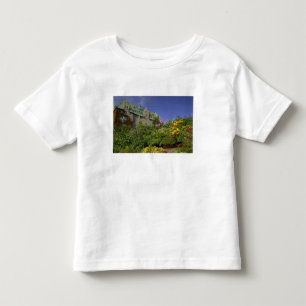 Canada, Quebec. Charlevoix region, Toddler T-Shirt