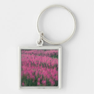 Canada, Quebec, Gaspe. Purple Lythrum Flowers, Key Ring