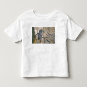 Canada, Quebec. Great grey owl perched on tree Toddler T-Shirt