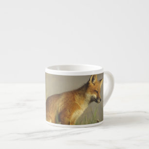 Canada, Quebec. Red fox cub at sunrise Espresso Cup