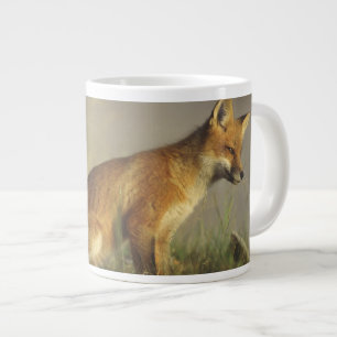 Canada, Quebec. Red fox cub at sunrise Large Coffee Mug